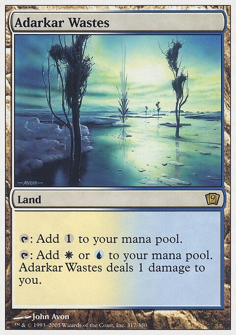 Adarkar Wastes - Ninth Edition #317 - Front