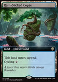 Rain-Slicked Copse - Lorwyn Eclipsed Commander #43 - Front