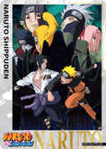 NRCCNA-PTR-004L3 Naruto Kayou card