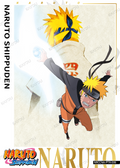 NRCCNA-PTR-006L3 Naruto Kayou card