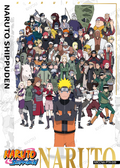 NRCCNA-PTR-009L3 Naruto Kayou card