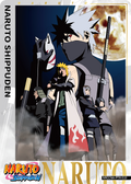NRCCNA-PTR-010L3 Naruto Kayou card