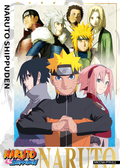NRCCNA-PTR-011L3 Naruto Kayou card