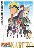 NRCCNA-PTR-012 Naruto Kayou card