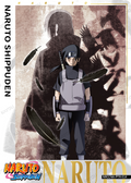 NRCCNA-PTR-014L3 Naruto Kayou card