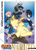 NRCCNA-PTR-015 Naruto Kayou card
