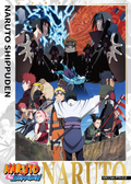 NRCCNA-PTR-018L3 Naruto Kayou card