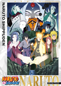 NRCCNA-PTR-019L3 Naruto Kayou card