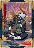 NRCCNA-XR-003L5 Naruto Kayou card