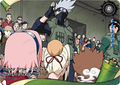 NREA01-R-036L1 Naruto Kayou card