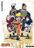 NRSA01-PTR-007L3 Naruto Kayou card