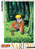 NRSA01-PTR-013L3 Naruto Kayou card