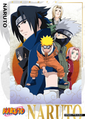 NRSA01-PTR-015L3 Naruto Kayou card