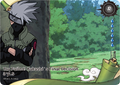 NRSA01-R-008L1 Naruto Kayou card