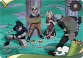 NRSA01-R-009L1 Naruto Kayou card