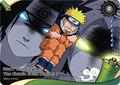 NRSA02-R-007L1 Naruto Kayou card