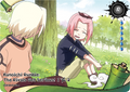 NRSA02-R-044L1 Naruto Kayou card