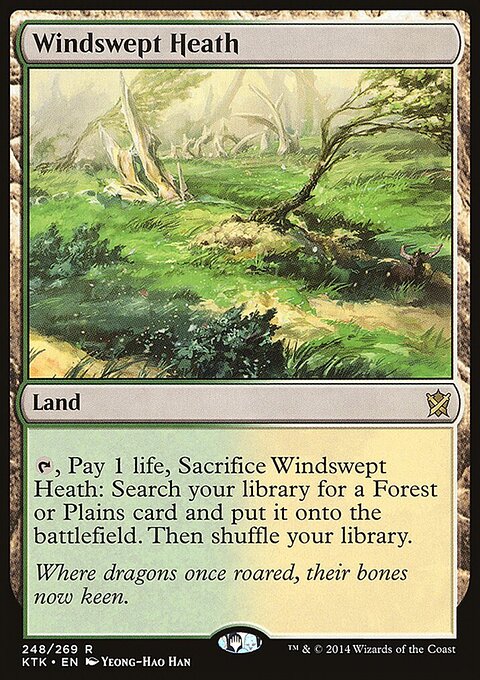 Windswept Heath - Khans of Tarkir #248 - Front